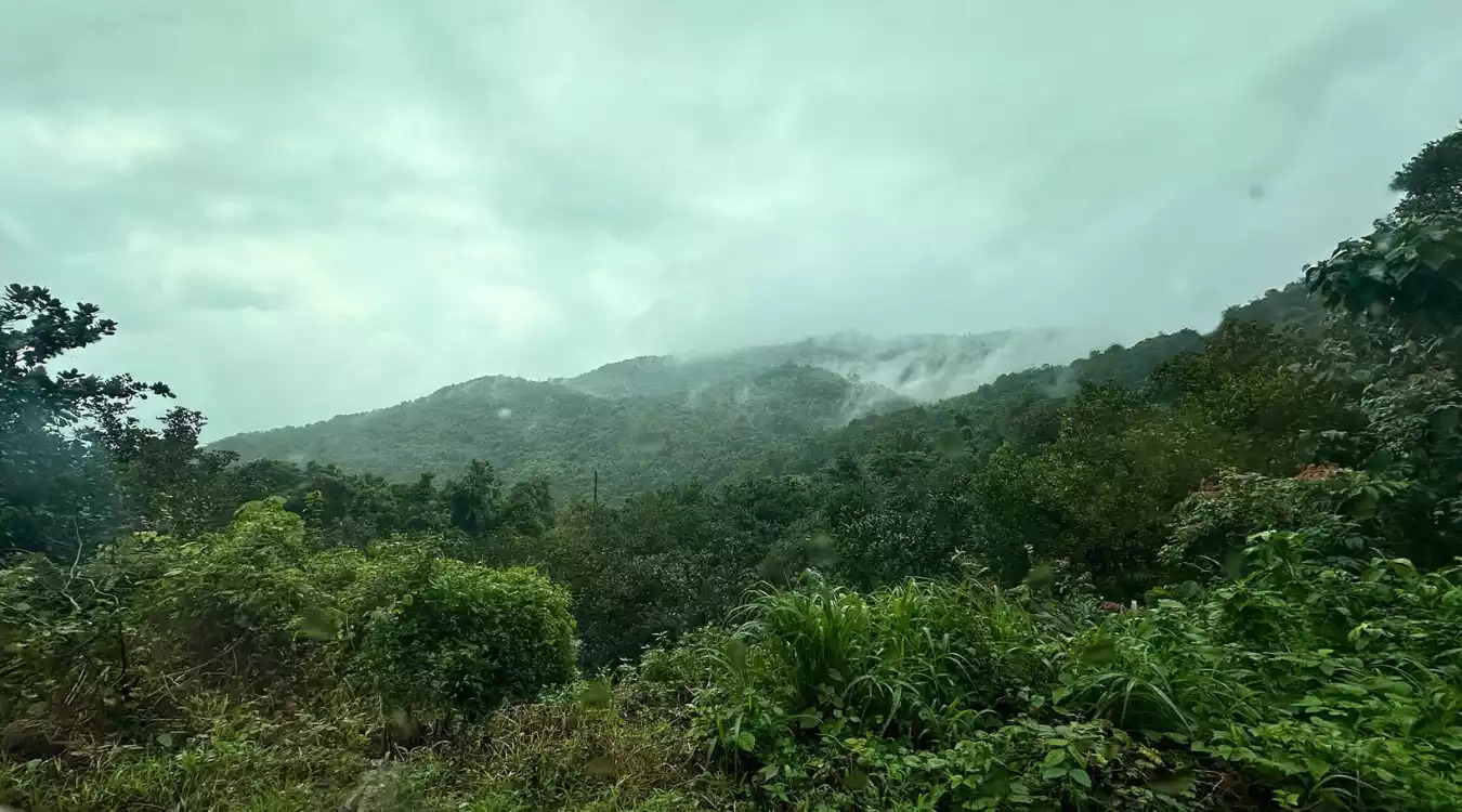 Largest Resort-Style Farmlands Goa.